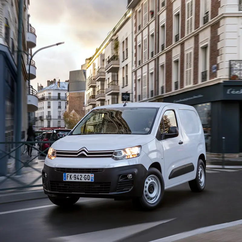 1920X800 Tbberlingo